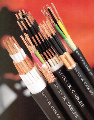 day-cap-dien-tai-truong-thanh