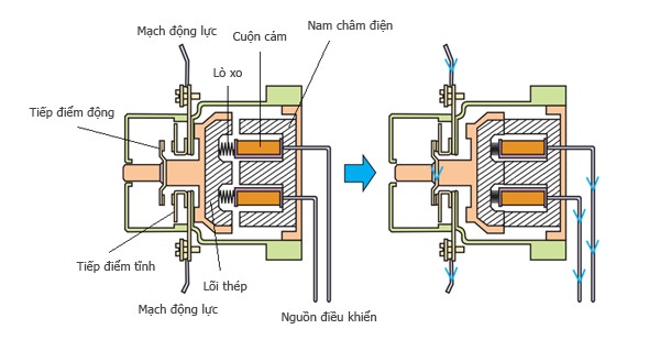 Cấu tạo và nguyên lý hoạt động của Contactor - Khởi động từ